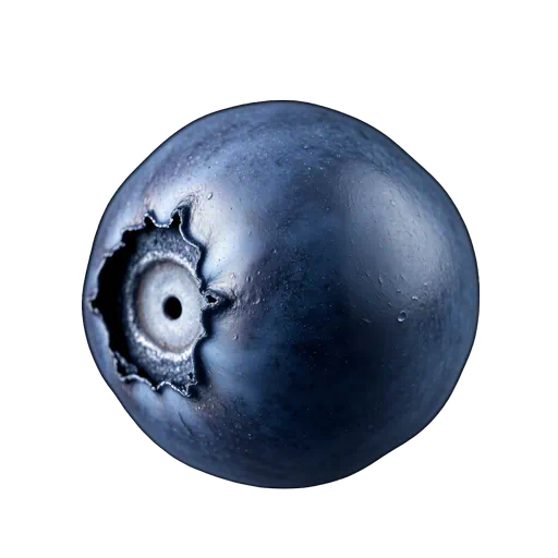Macro photography of a single deep indigo blueberry with a detailed crown isolated on a white background.