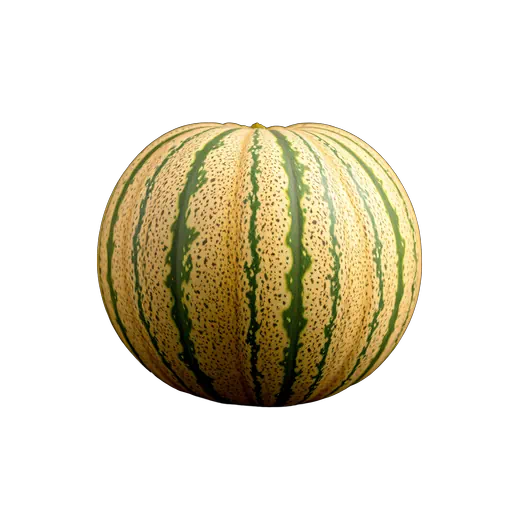 Studio shot of a whole cantaloupe melon featuring green stripes and speckled beige skin against a white background.