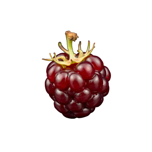 Glossy deep red berry with a small green stem, isolated on a clean white background, macro photography.