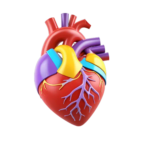 Vibrant 3D stylized anatomical human heart illustration featuring red, purple, yellow, and blue colors on a white background.